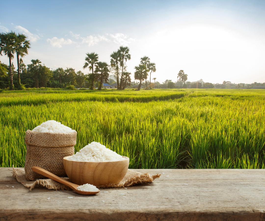 White, brown or wild rice for an acne fighting diet?